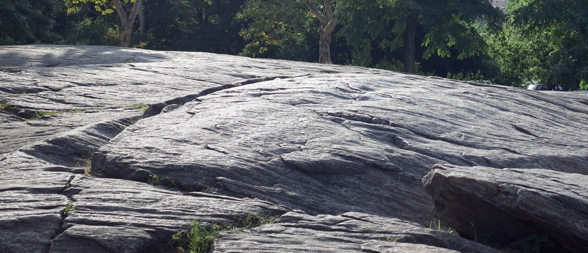 原園有限公司｜景觀石材・園藝造景材料・石材批發供應商
