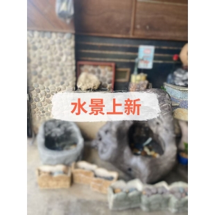 水景上新