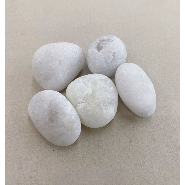 天然白卵.jpg